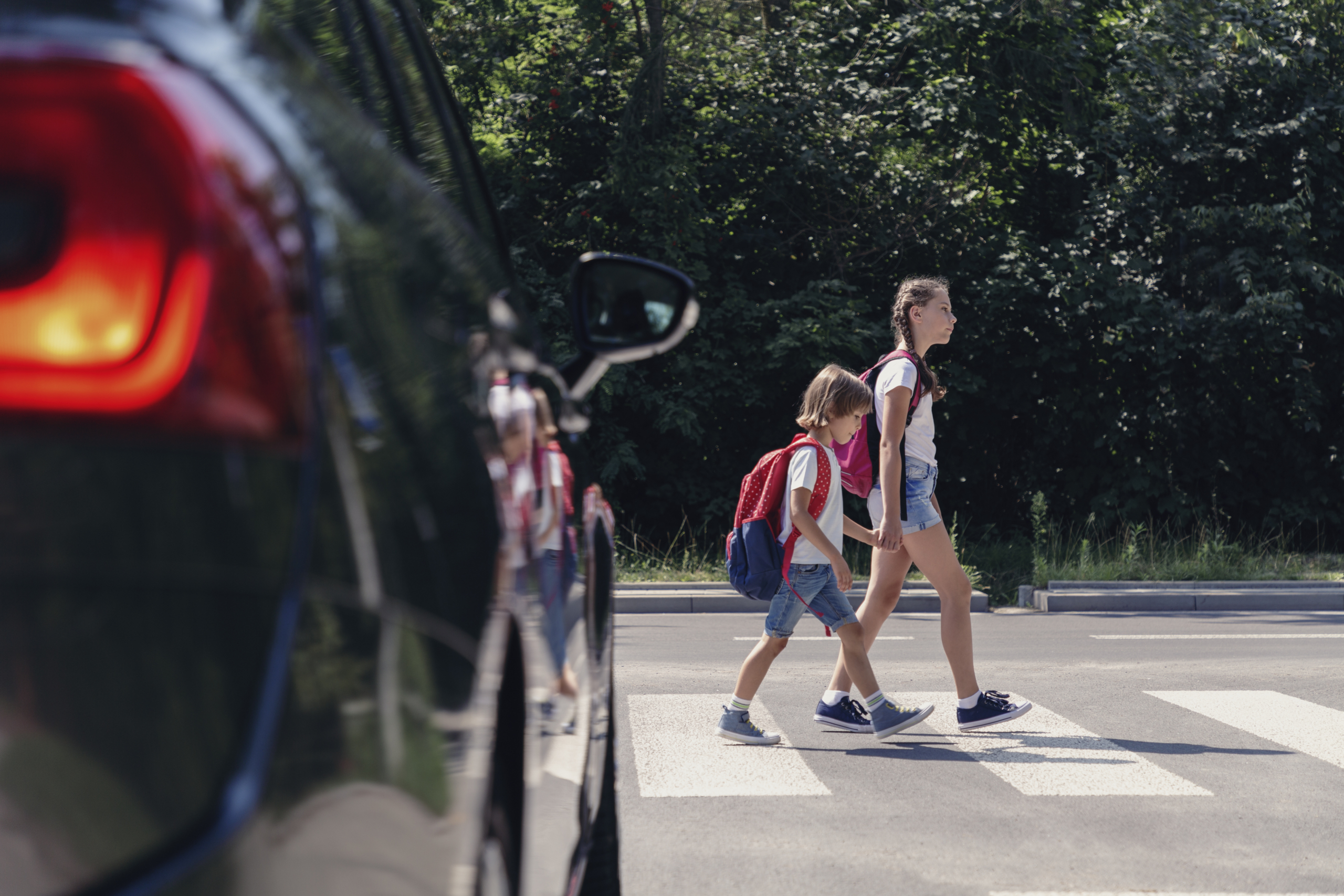 Crossing the road together - Road safety tips for childrenLittle Blue  Dinosaur